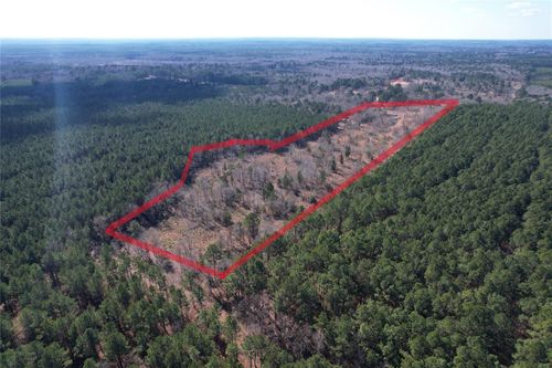 TBD County Road 3503 Road, Jefferson, TX, 75657 | Card Image