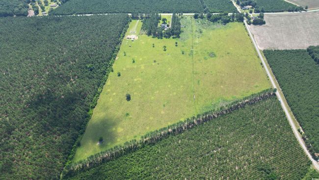 View of rural area with abundant farmland | Image 6