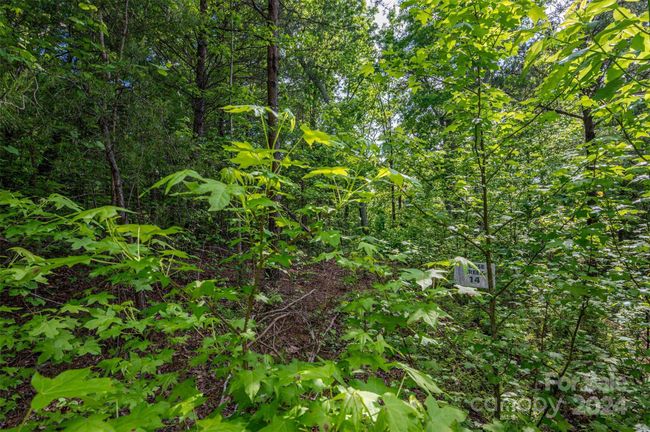 0 Walkaloosa Way, Home with 0 bedrooms, 0 bathrooms and null parking in Mooresboro NC | Image 23