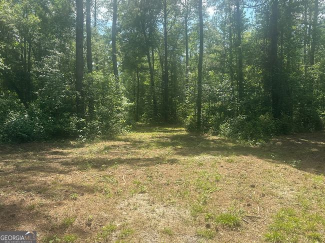 925 Cleary Rd, House other with 3 bedrooms, 2 bathrooms and null parking in Brooklet GA | Image 34