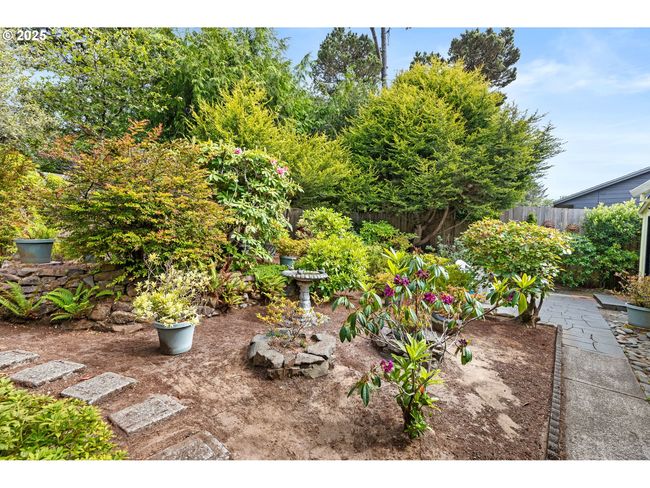 Backyard | Image 30