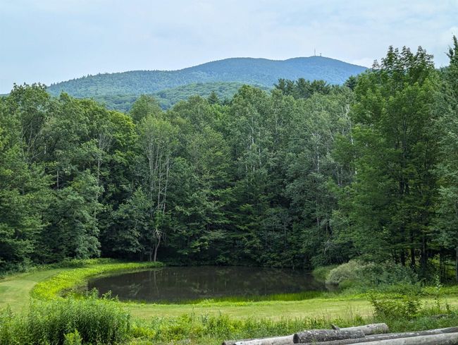 4393 Vt Route 131, House other with 2 bedrooms, 2 bathrooms and null parking in Perkinsville VT | Image 20