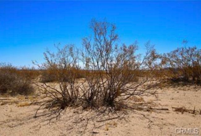 0 Learco Way, Home with 0 bedrooms, 0 bathrooms and null parking in Joshua Tree CA | Image 16
