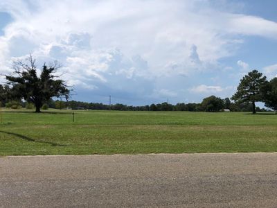 lot 3 Tara Drive, Home with 0 bedrooms, 0 bathrooms and null parking in Trinity TX | Image 2