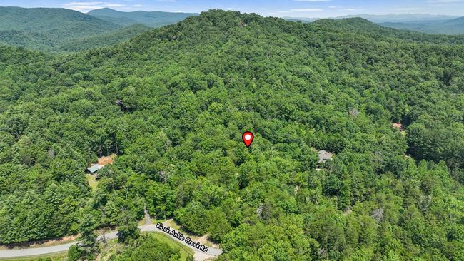 Lot 1 High Knee Rd, Home with 0 bedrooms, 0 bathrooms and null parking in Cherry Log GA | Image 6