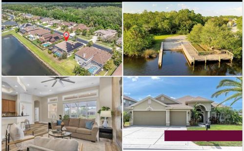 1709 Nodding Thistle Dr, TRINITY, FL, 34655-4155 | Card Image