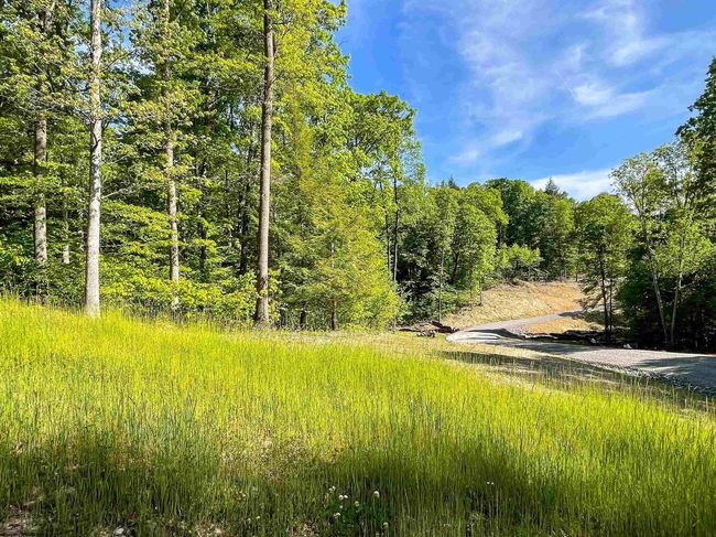 Lot 93 Laurel Loop   Whitewater Preserve Loop, Home with 0 bedrooms, 0 bathrooms and null parking in Bruceton Mills WV | Image 8
