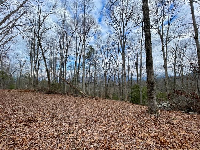 #114 Eagles Vw, Home with 0 bedrooms, 0 bathrooms and null parking in Hayesville NC | Image 6