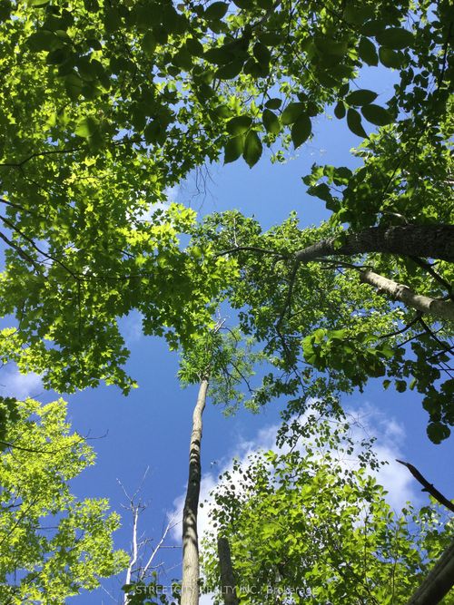0 Path N/A, Northern Bruce Peninsula, ON, N0H1W0 | Card Image