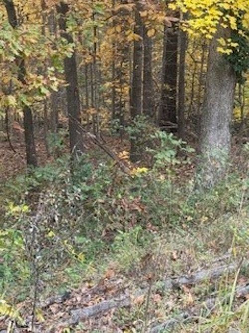 TBD Porlock Ln, Bella Vista, AR, 72715 | Card Image