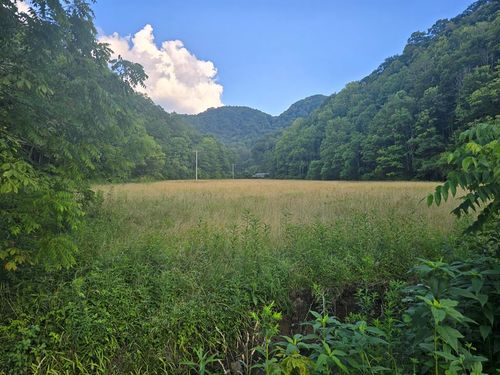 TBD Tazewell Ave, North Tazewell, VA, 24630 | Card Image