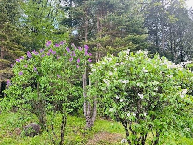 104 Juniper Ridge Rd, House other with 3 bedrooms, 4 bathrooms and null parking in Brattleboro VT | Image 49