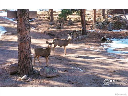 0 (Tbd) Pima Road, Lyons, CO, 80540 | Card Image