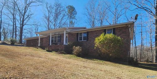 703 Rock Cliff Rd, Hamilton, AL, 35570-5908 | Card Image