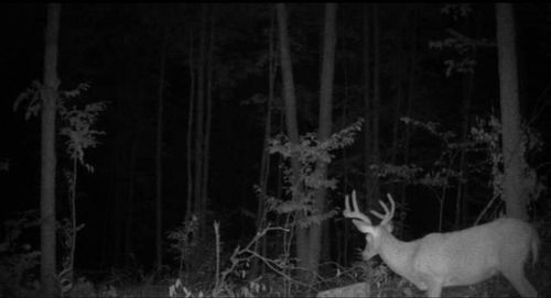 00 W Babbitt Rd, Frederic, MI, 49733 | Card Image