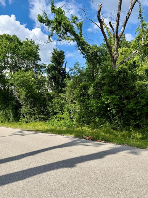 13650 Salt Grass Trail Lot 106, Cypress, TX, 77429 | Card Image