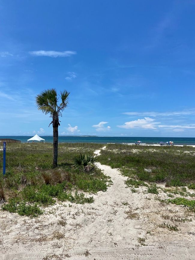 117 Atlantic St, Home with 0 bedrooms, 0 bathrooms and null parking in Port St. Joe FL | Image 13