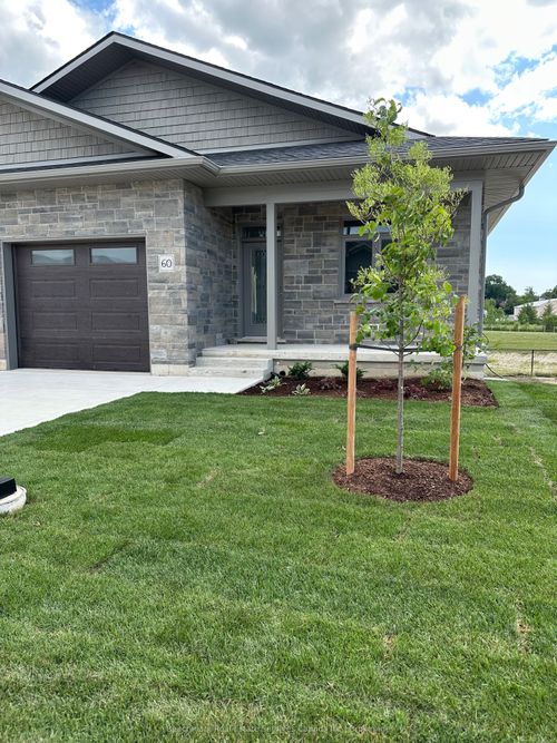 60 Cavalier Cres, Ripley, ON, N0G2R0 | Card Image