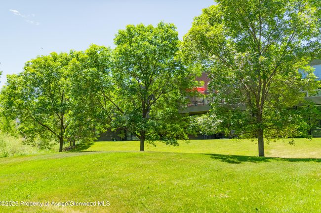 202 - 202 Evans Rd, Condo with 1 bedrooms, 1 bathrooms and 1 parking in Basalt CO | Image 25