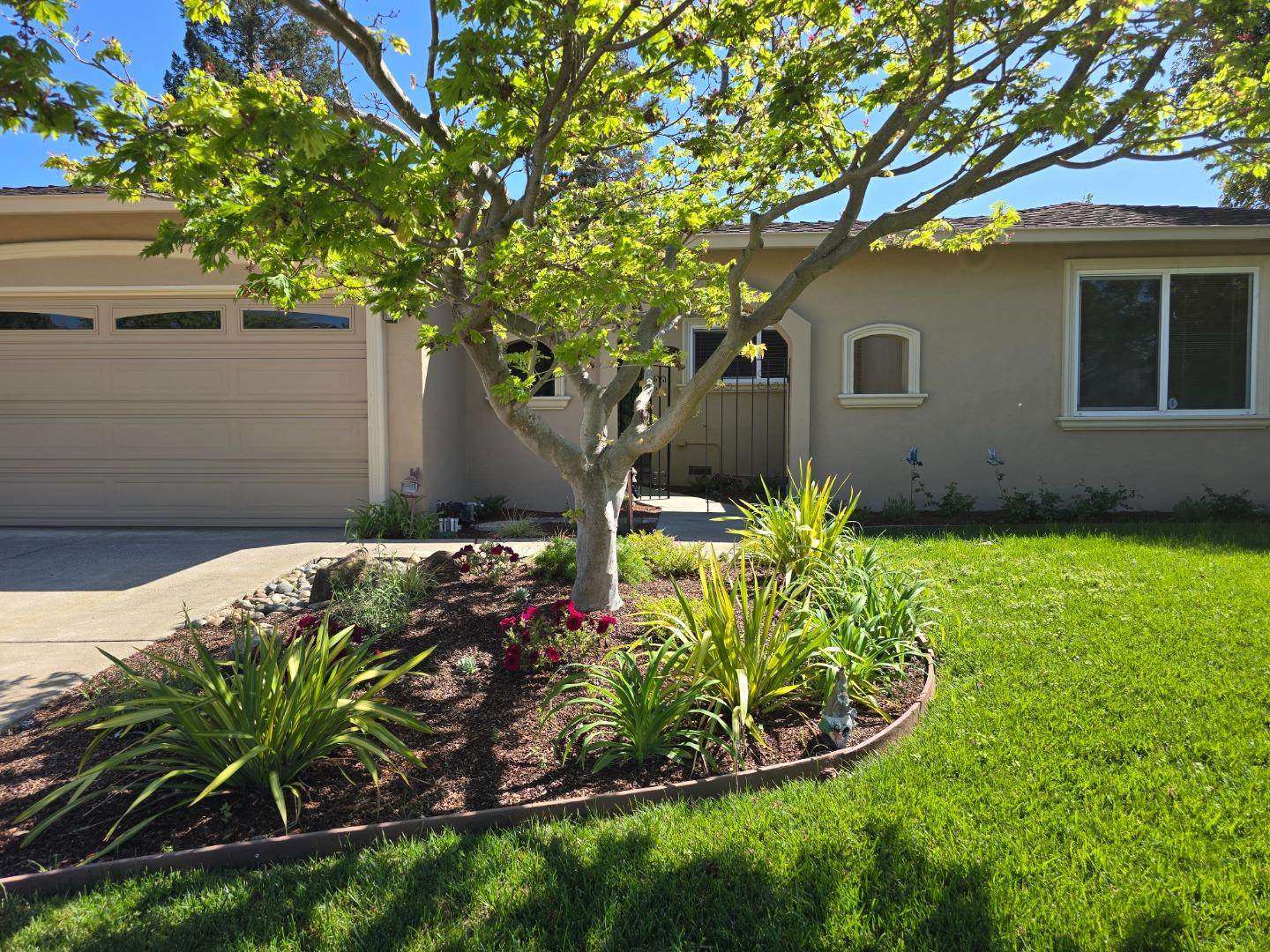 Residential in San Jose