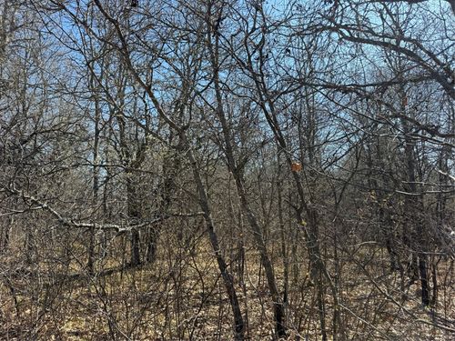 Lot 53 E Wilderness Ct, Solon Springs, WI, 54873 | Card Image