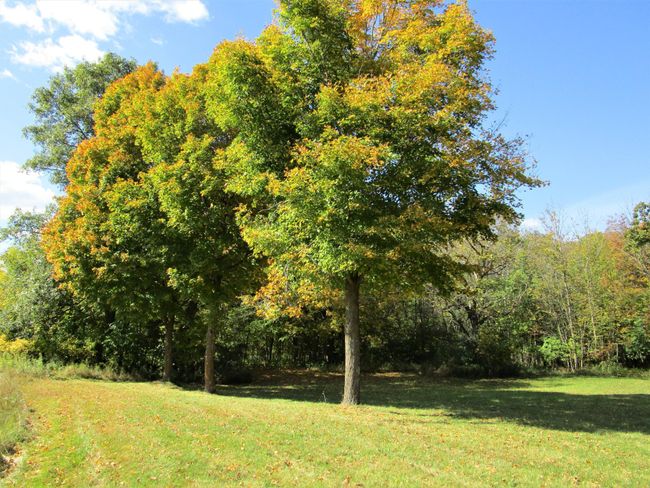 Land/Lot | Image 25