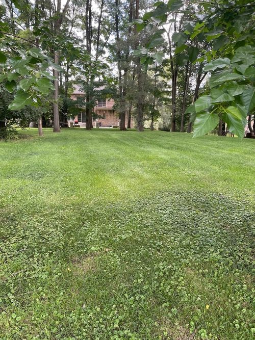 8172 Hess Ave, Willow Springs, IL, 60480 | Card Image