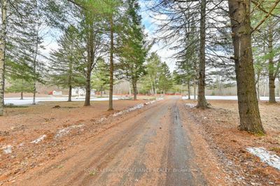 12599 Highway 41, House other with 3 bedrooms, 1 bathrooms and 5 parking in Addington Highlands ON | Image 2