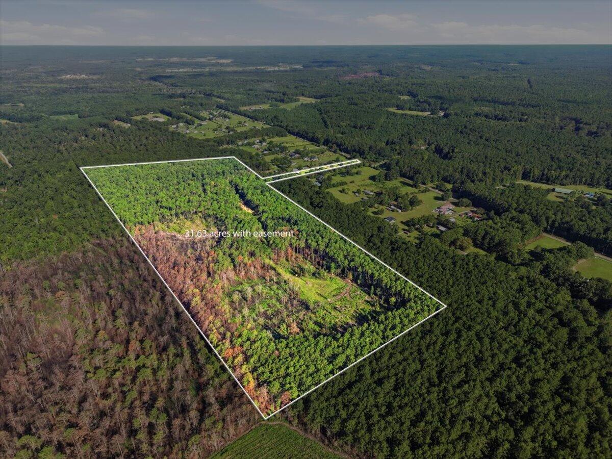 Land in Ridgeville