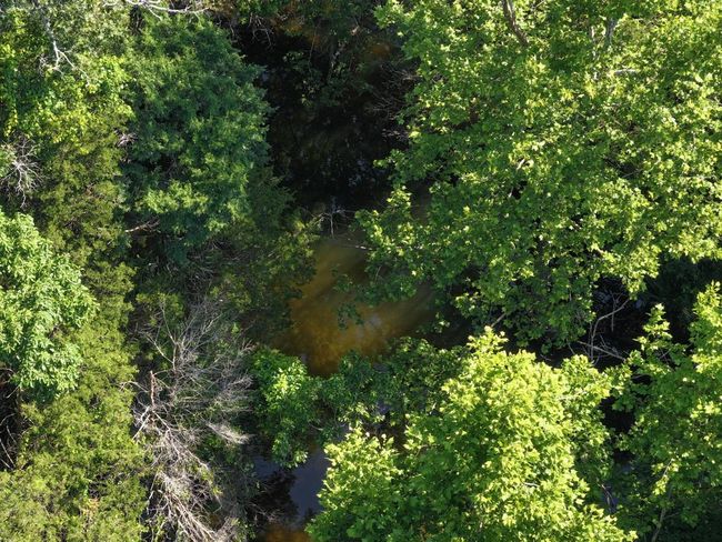 dji_fly_20250620_102832_0021_17504331114 | Image 25