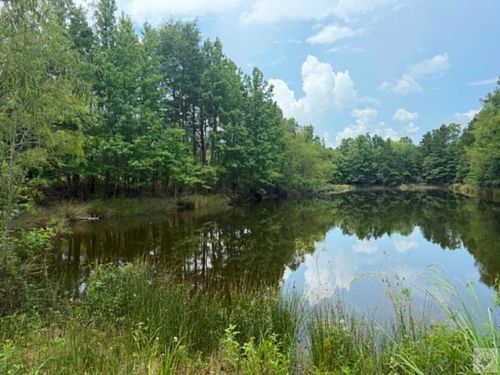 1816 Cr 2105, Hooks, TX, 75561 | Card Image