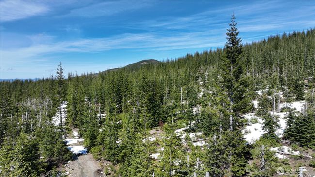 0 xxxx Spirit Lake Hwy, Home with 0 bedrooms, 0 bathrooms and null parking in Stevenson WA | Image 13