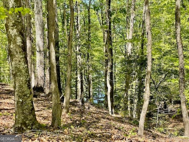 1276 Hornets Bridge Rd, Home with 0 bedrooms, 0 bathrooms and null parking in Elberton GA | Image 19