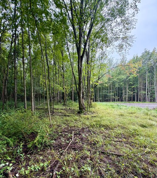 Lot 6 Christopher Lane, South Haven, MI, 49090 | Card Image