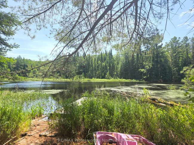 1134 Walker Line Rd, Home with 0 bedrooms, 0 bathrooms and null parking in Algonquin Highlands ON | Image 8