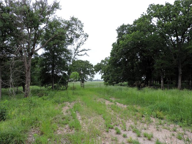 0 E Highway 175, Home with 0 bedrooms, 0 bathrooms and null parking in Mabank TX | Image 16