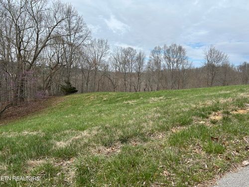 Lot 260-B Marble Point Dr, New Tazewell, TN, 37825 | Card Image