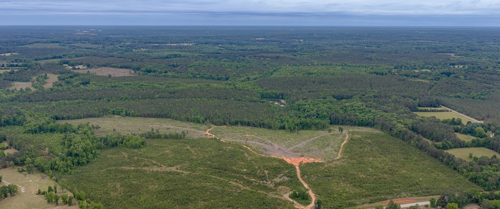 Land in Greenwood 3