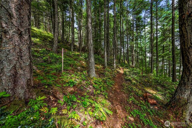 3071 Hales Passage Dr, Home with 0 bedrooms, 0 bathrooms and null parking in Lummi Island WA | Image 11