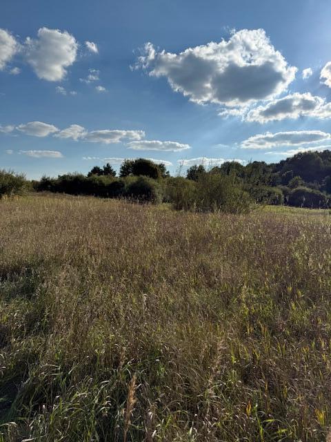 Land in Greenville 4