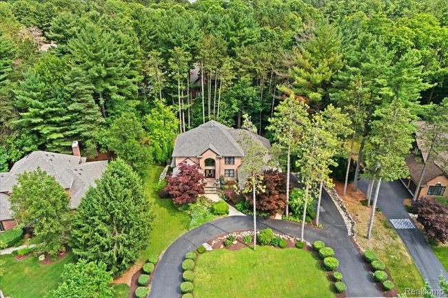 Large lot surrounded by nature. | Image 49