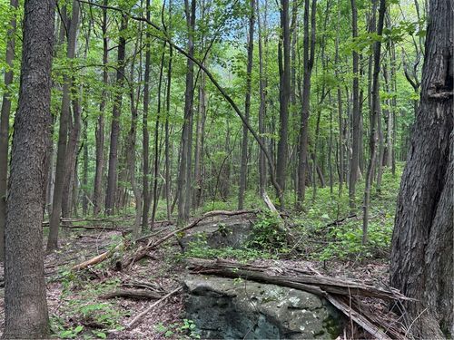 1 Horseshoe Bend Rd, Bullskin Twp, PA, 15610 | Card Image