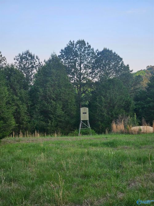 8200 Owls Hollow Rd, Gadsden, AL, 35901-4706 | Card Image