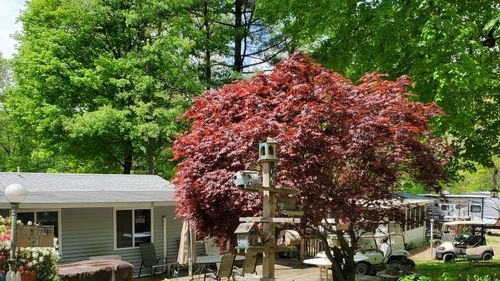 ww4-8 South Rd, Stafford Springs, CT, 06076-4535 | Card Image