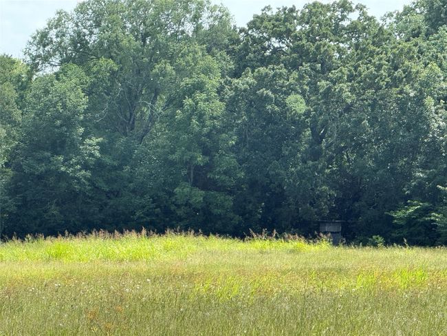 View of tree filled area | Image 19