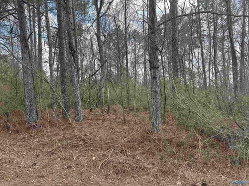 Lot 9 Quinn Dr, Gadsden, AL, 35903-1454 | Card Image