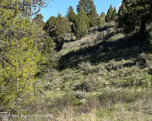 59 B4 Cutthroat Run, Irwin, ID, 83428 | Card Image