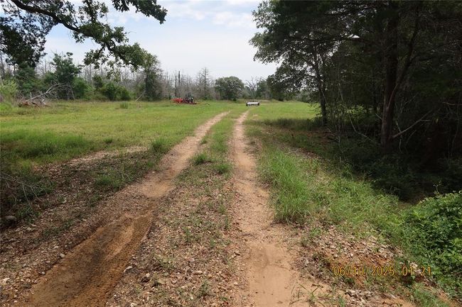 1584 Dungens Mill Rd, Home with 0 bedrooms, 0 bathrooms and null parking in Columbus TX | Image 20