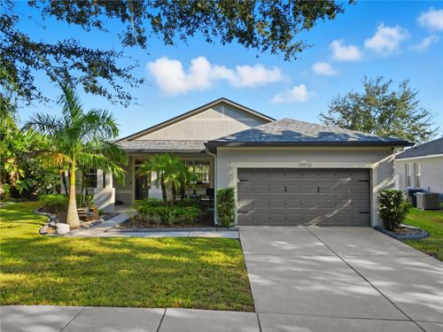 10916 Holly Cone Dr, RIVERVIEW, FL, 33569-2010 | Card Image