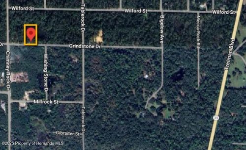 0 Grindstone Dr, WEBSTER, FL, 33597 | Card Image